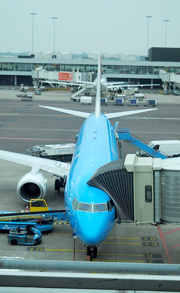 算数・数学の佐藤塾 ー 本帰国